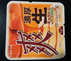 爽 濃厚生キャラメル バニラ コンビニ  販売店