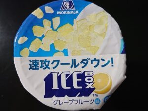 アイスボックス 溶けない